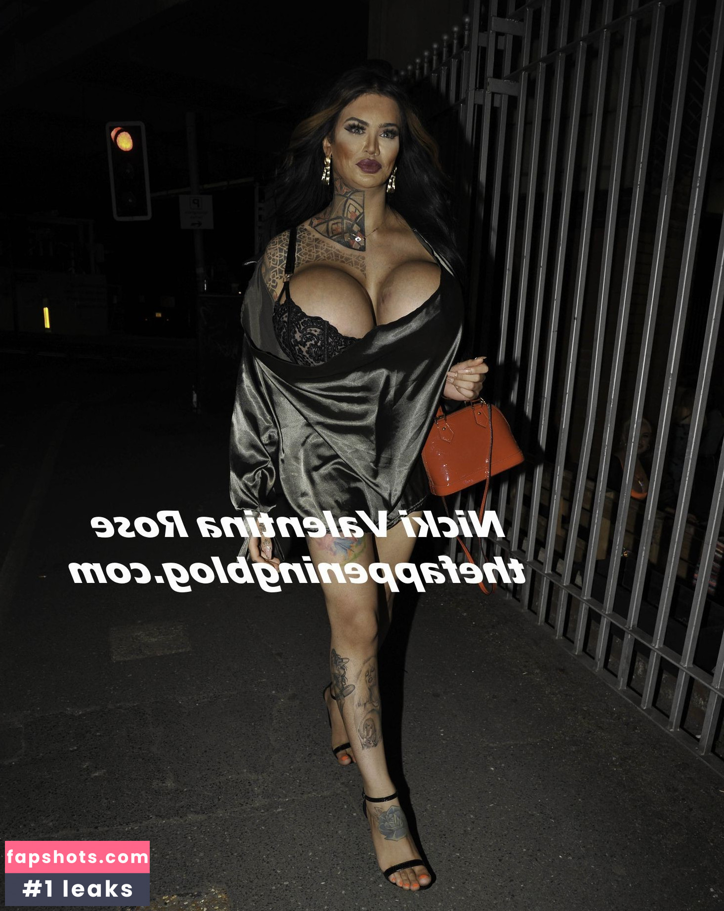 Nicki Valentina Rose gallery photo #5