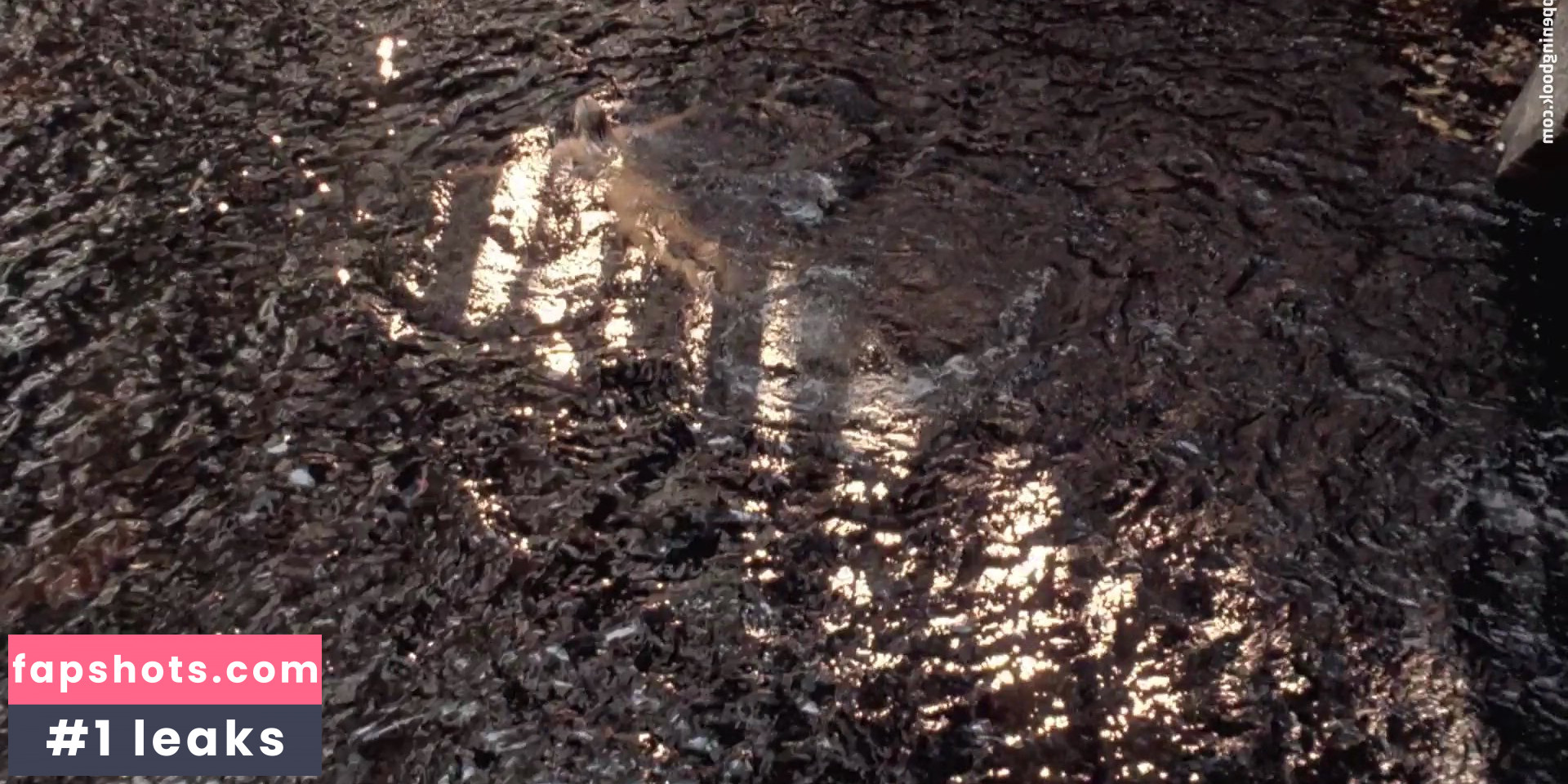 Nicole Kidman gallery photo #454