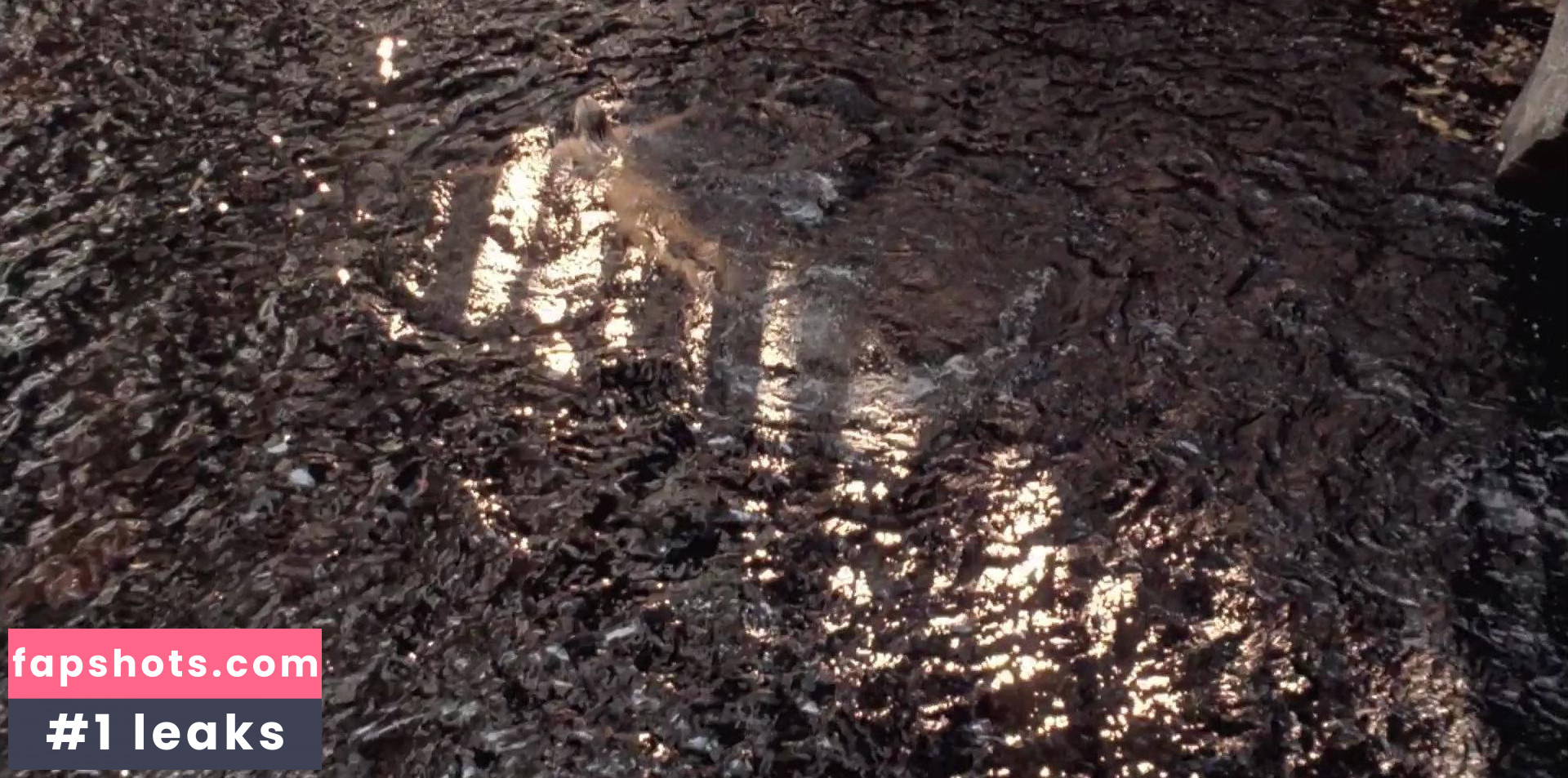 Nicole Kidman gallery photo #649