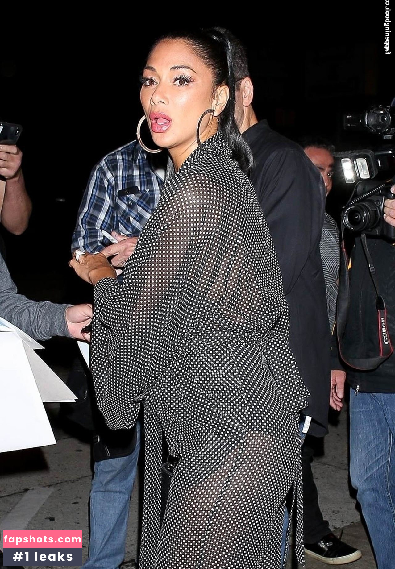 Nicole Scherzinger gallery photo #884