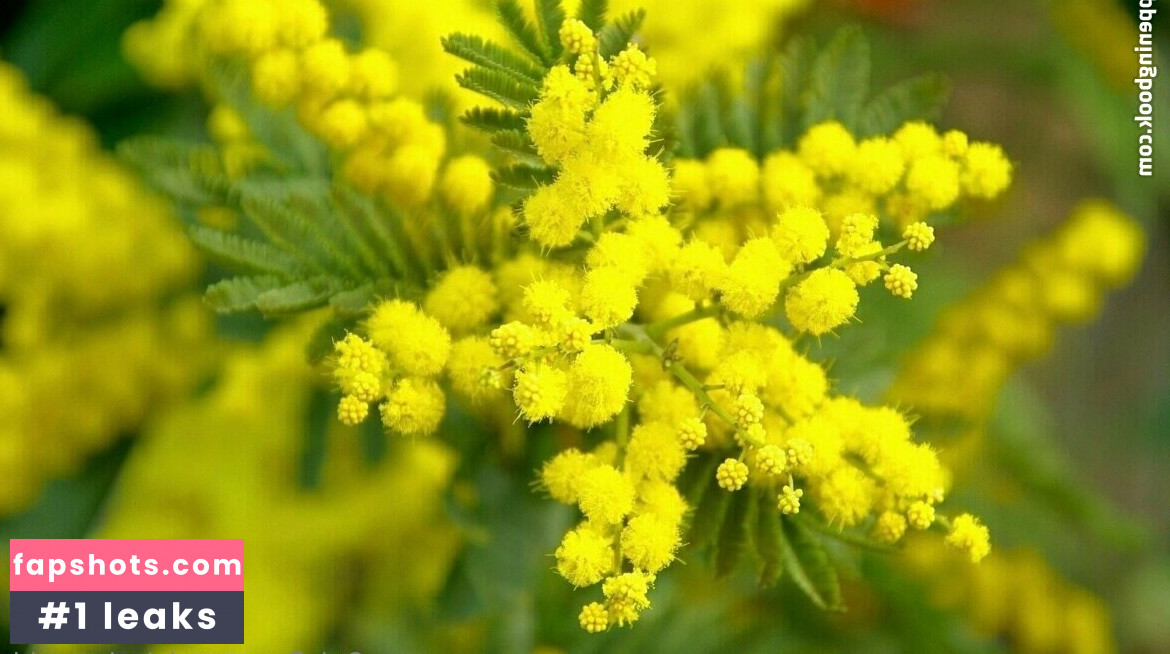 nicolerocchi gallery photo #59