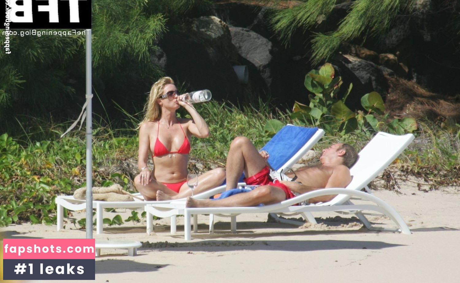 Nicollette Sheridan gallery photo #47