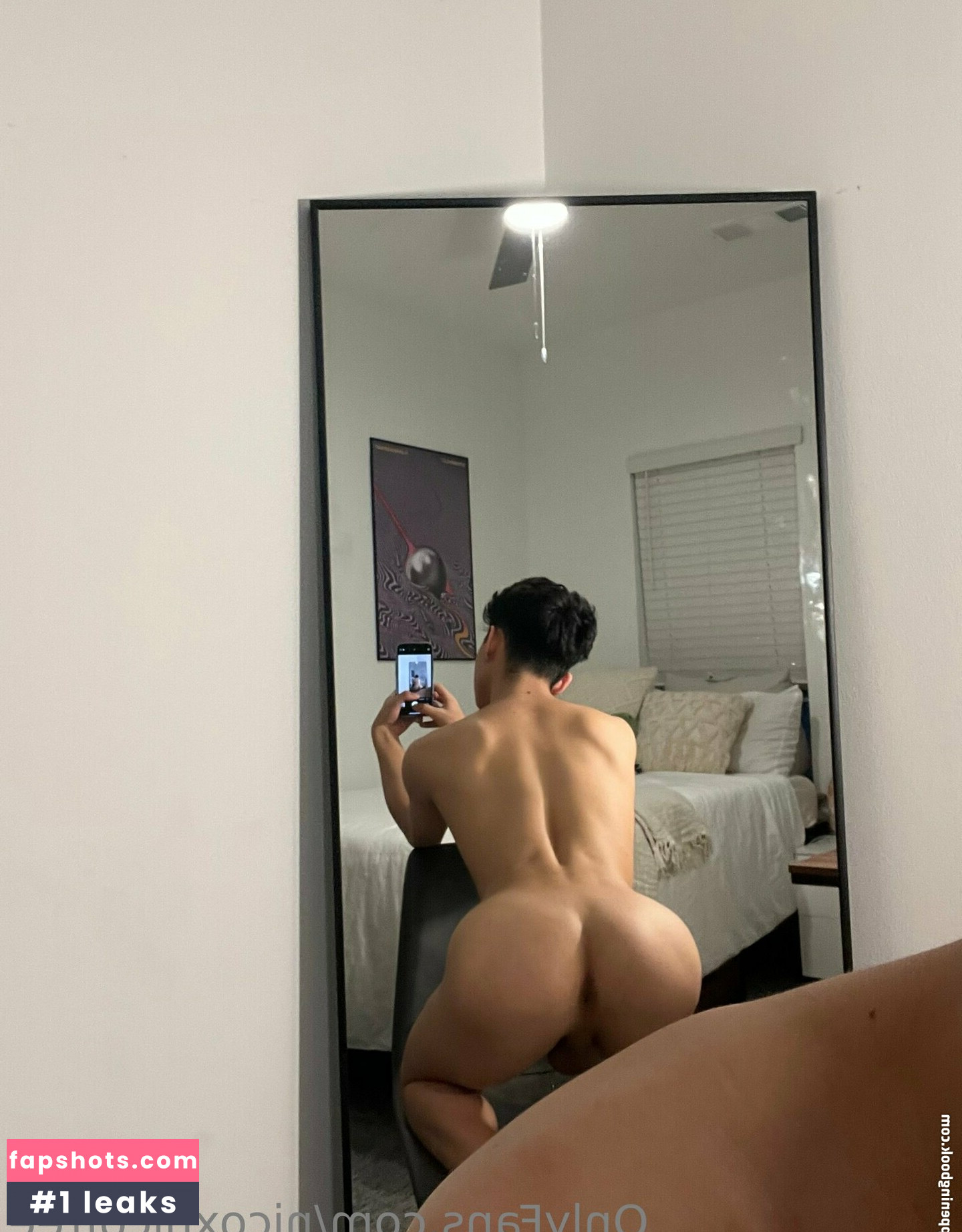 nicoxnicofree gallery photo #5