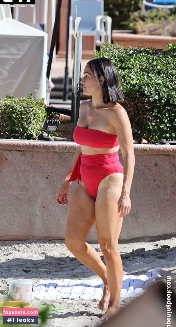Nikki Bella Nude Leaks OnlyFans Photos #103 - LeakJerk