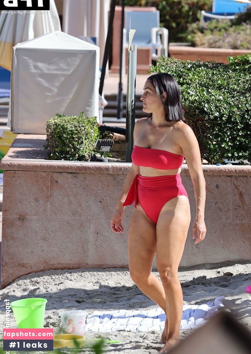 Nikki Bella Nude Leaks OnlyFans Photos #104 - LeakJerk