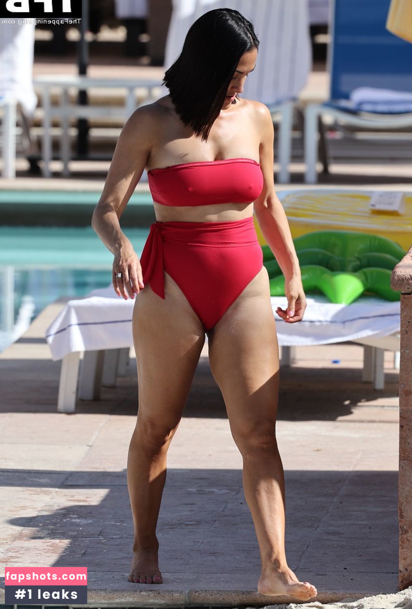 Nikki Bella Nude Leaks OnlyFans Photos #112 - LeakJerk