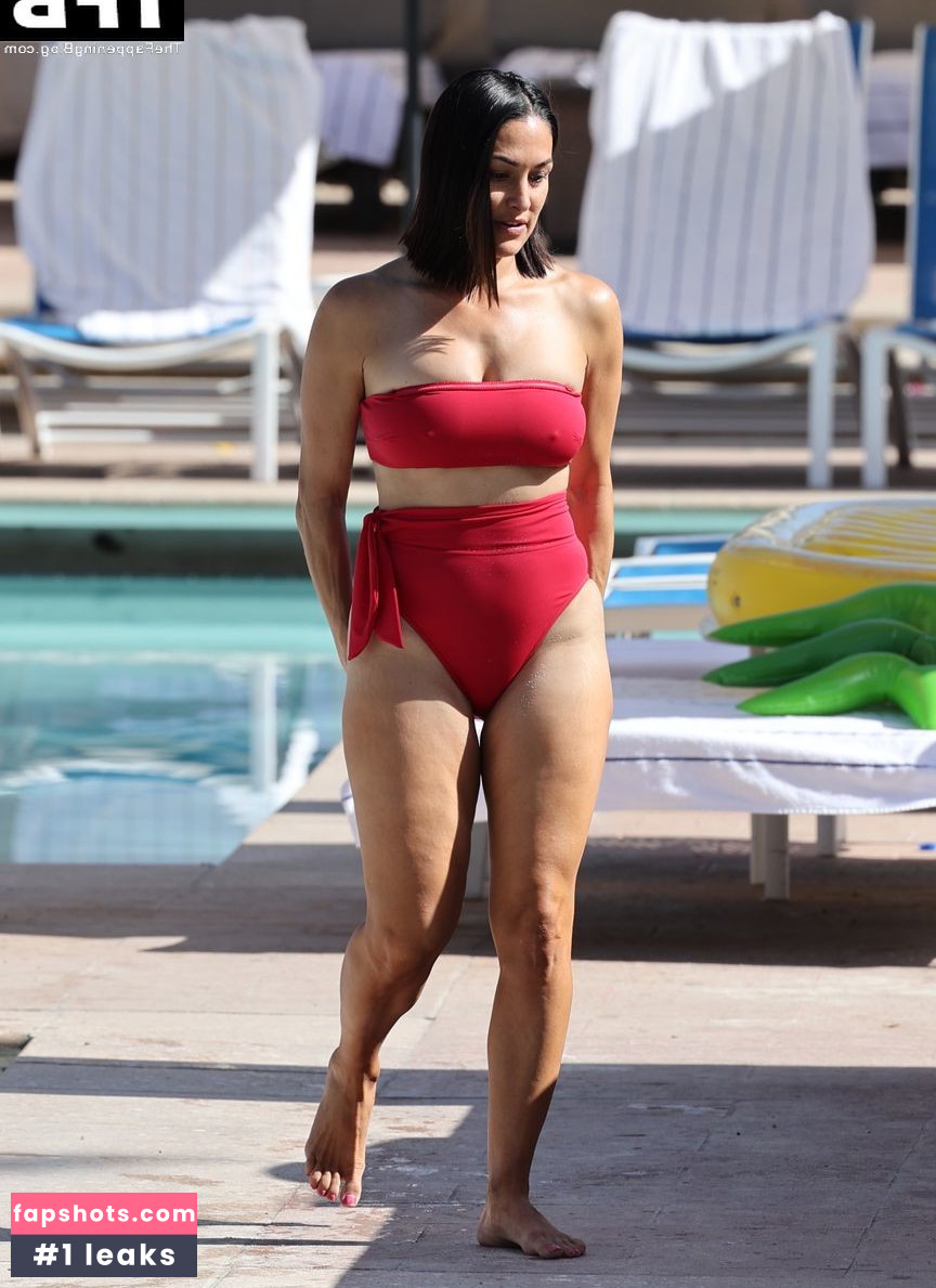 Nikki Bella Nude Leaks OnlyFans Photos #114 - LeakJerk