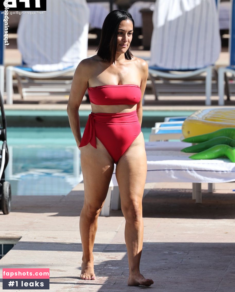 Nikki Bella Nude Leaks OnlyFans Photos #116 - LeakJerk