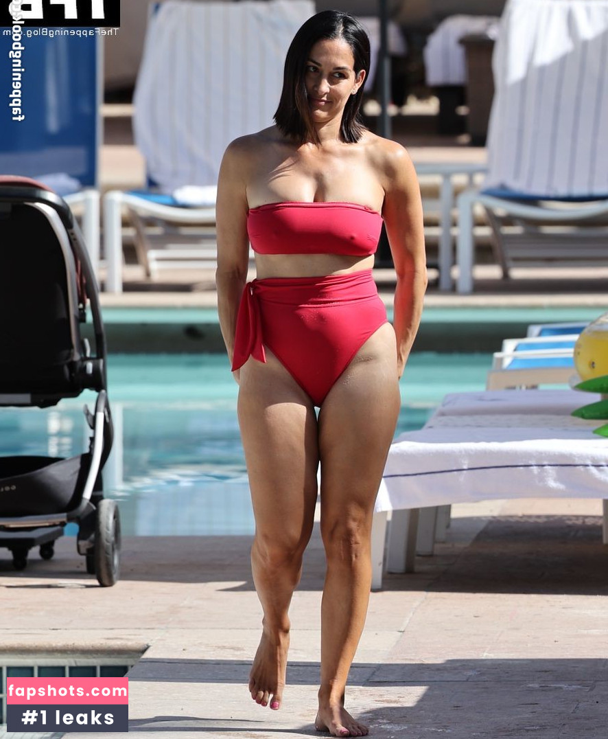 Nikki Bella Nude Leaks OnlyFans Photos #117 - LeakJerk