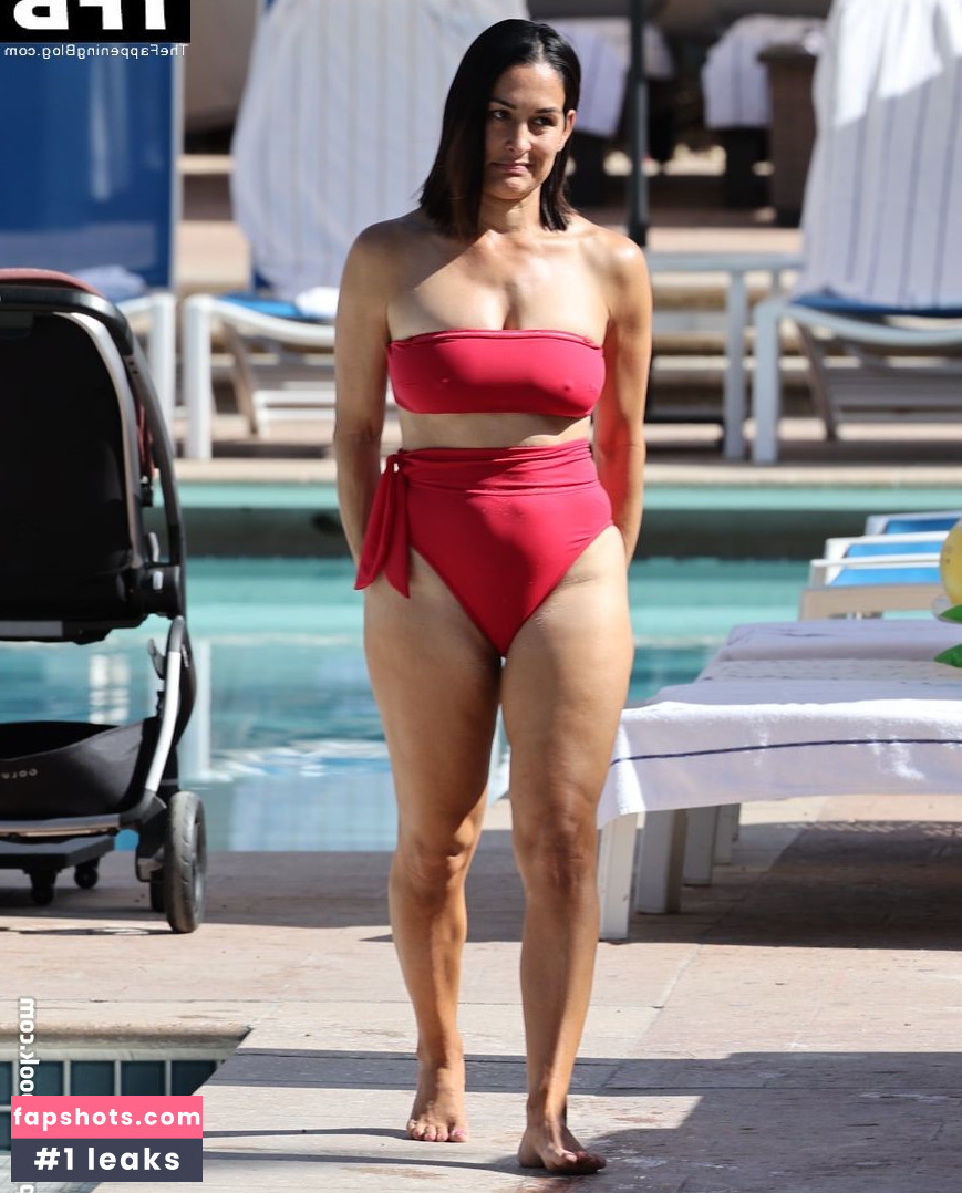 Nikki Bella Nude Leaks OnlyFans Photos #119 - LeakJerk