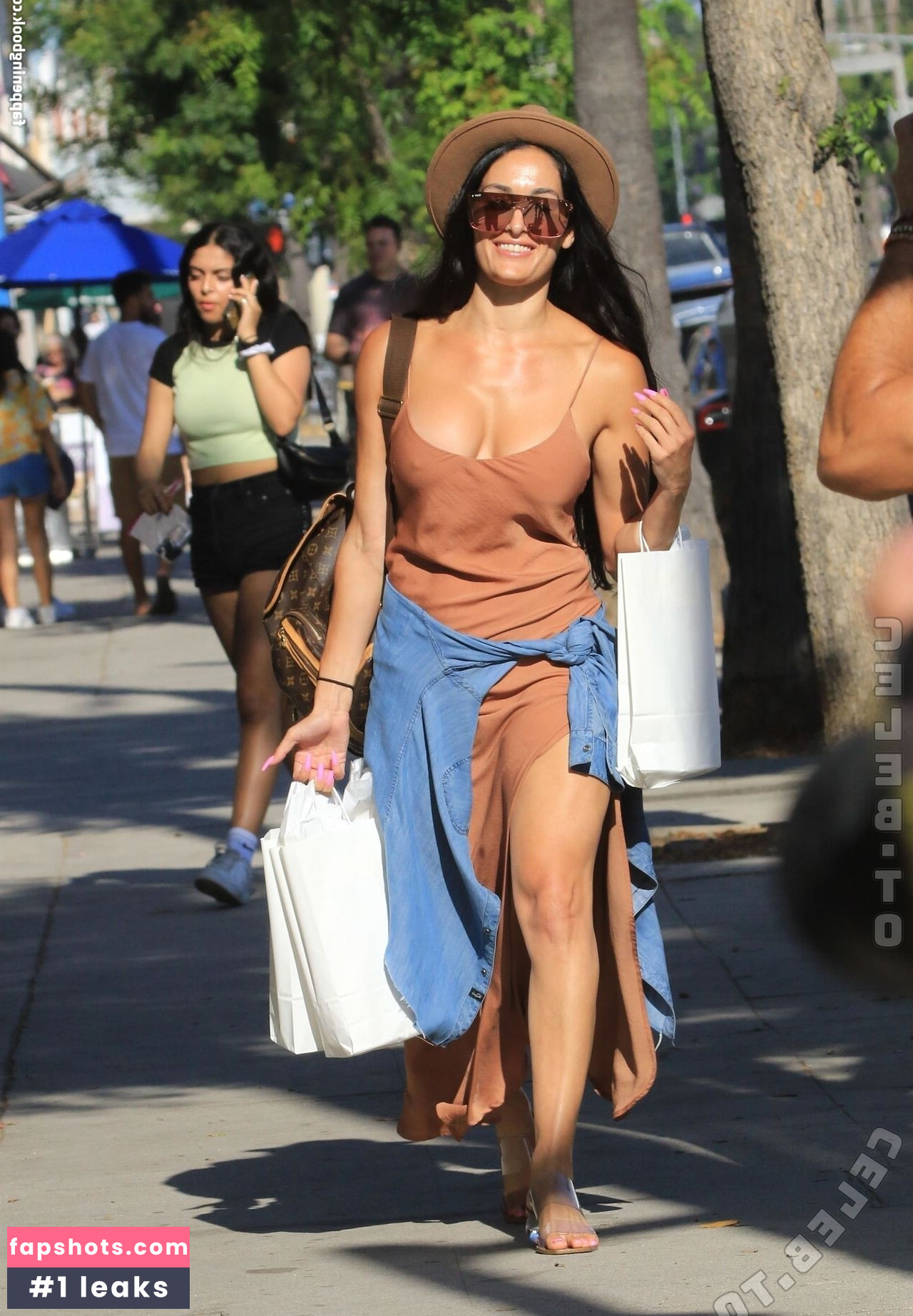 Nikki Bella Nude Leaks OnlyFans Photos #13 - LeakJerk