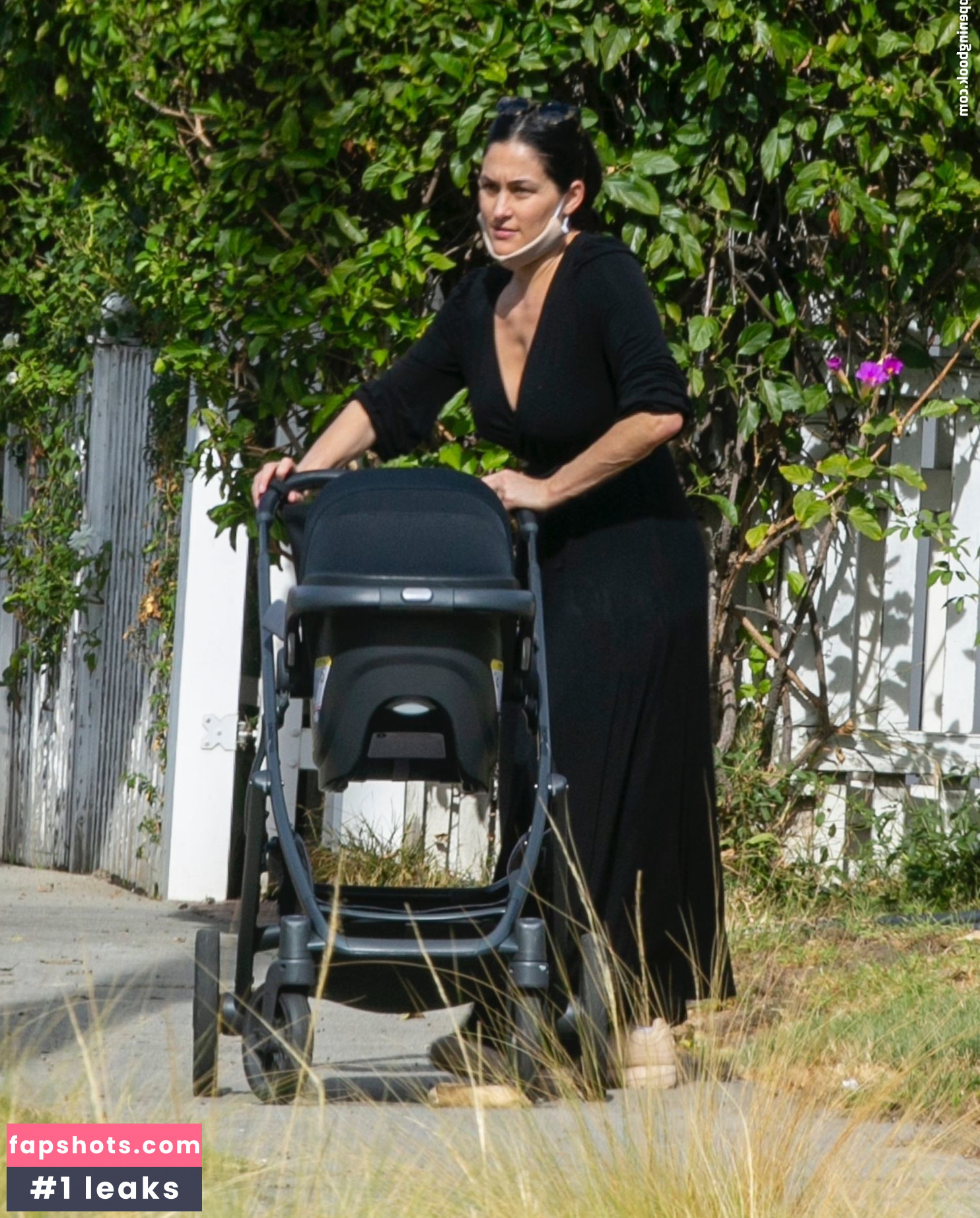 Nikki Bella gallery photo #152