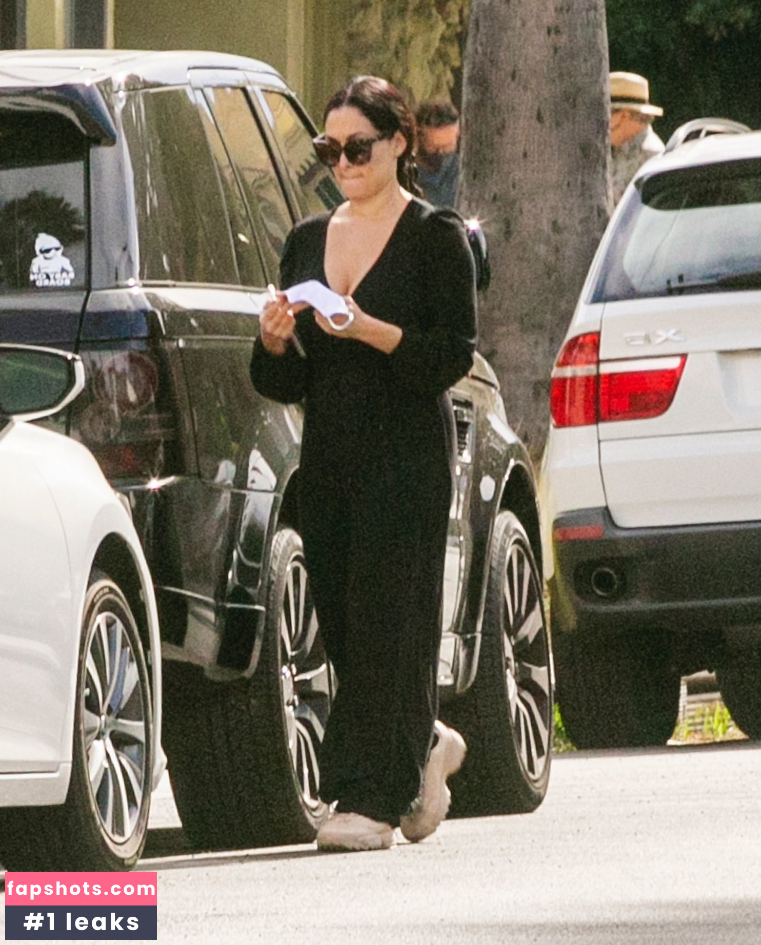 Nikki Bella gallery photo #159