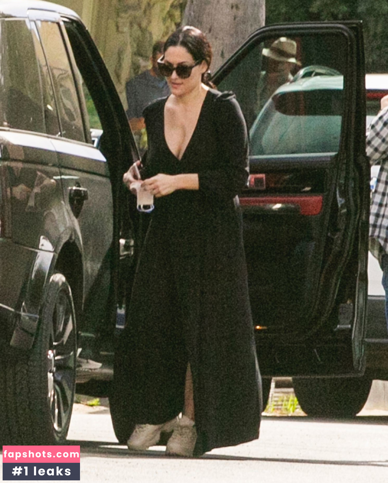 Nikki Bella gallery photo #162