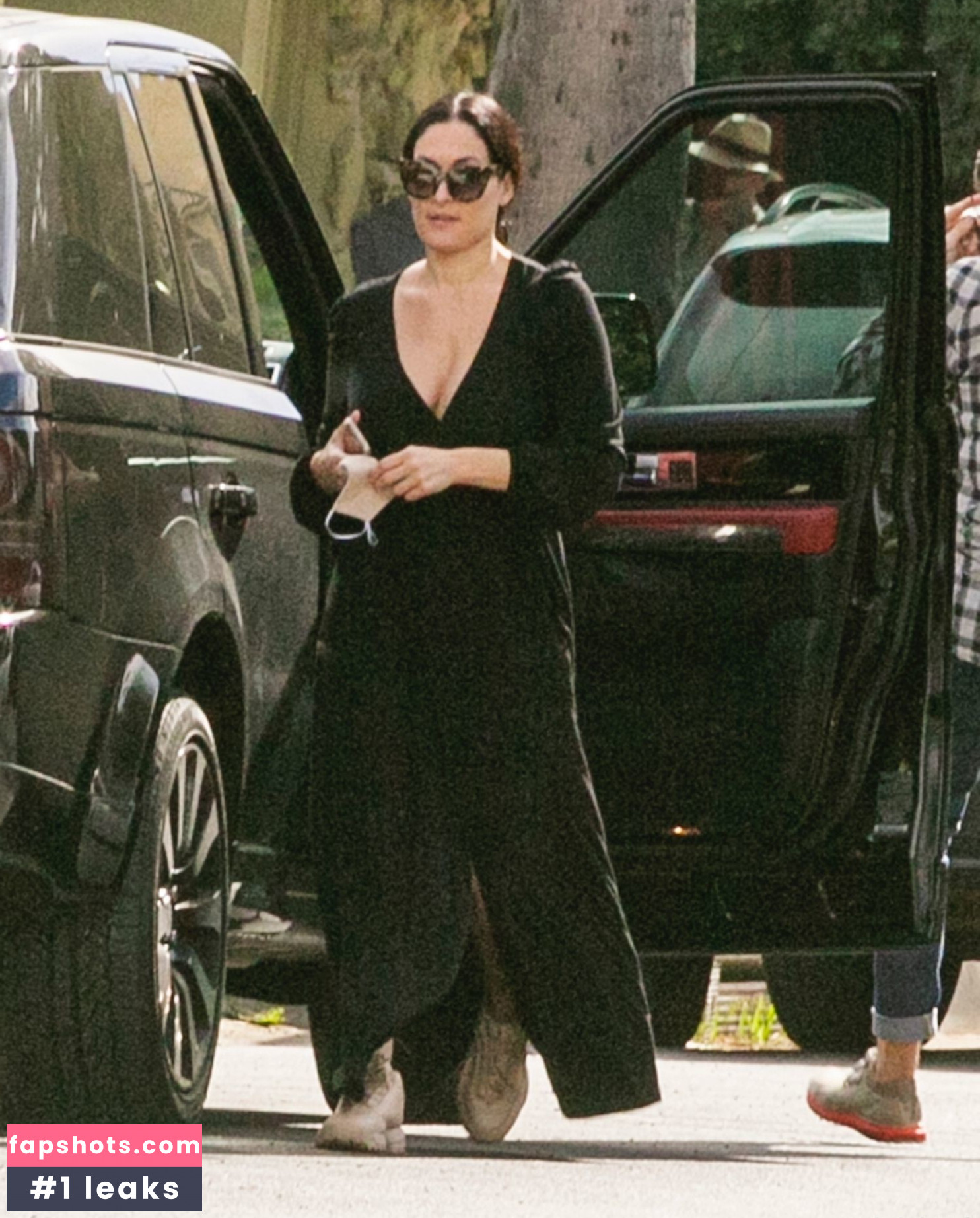 Nikki Bella gallery photo #163