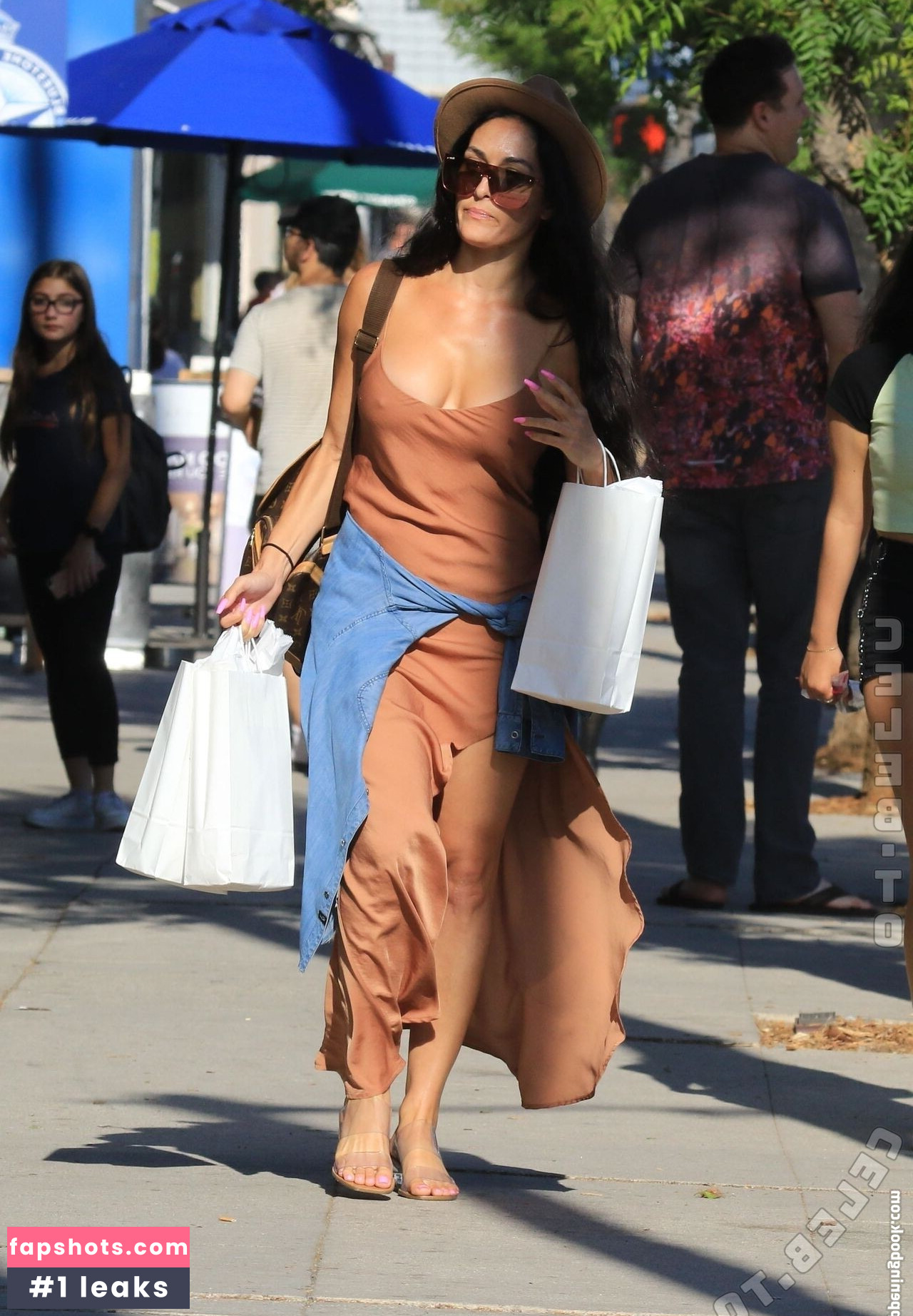 Nikki Bella Nude Leaks OnlyFans Photos #22 - LeakJerk