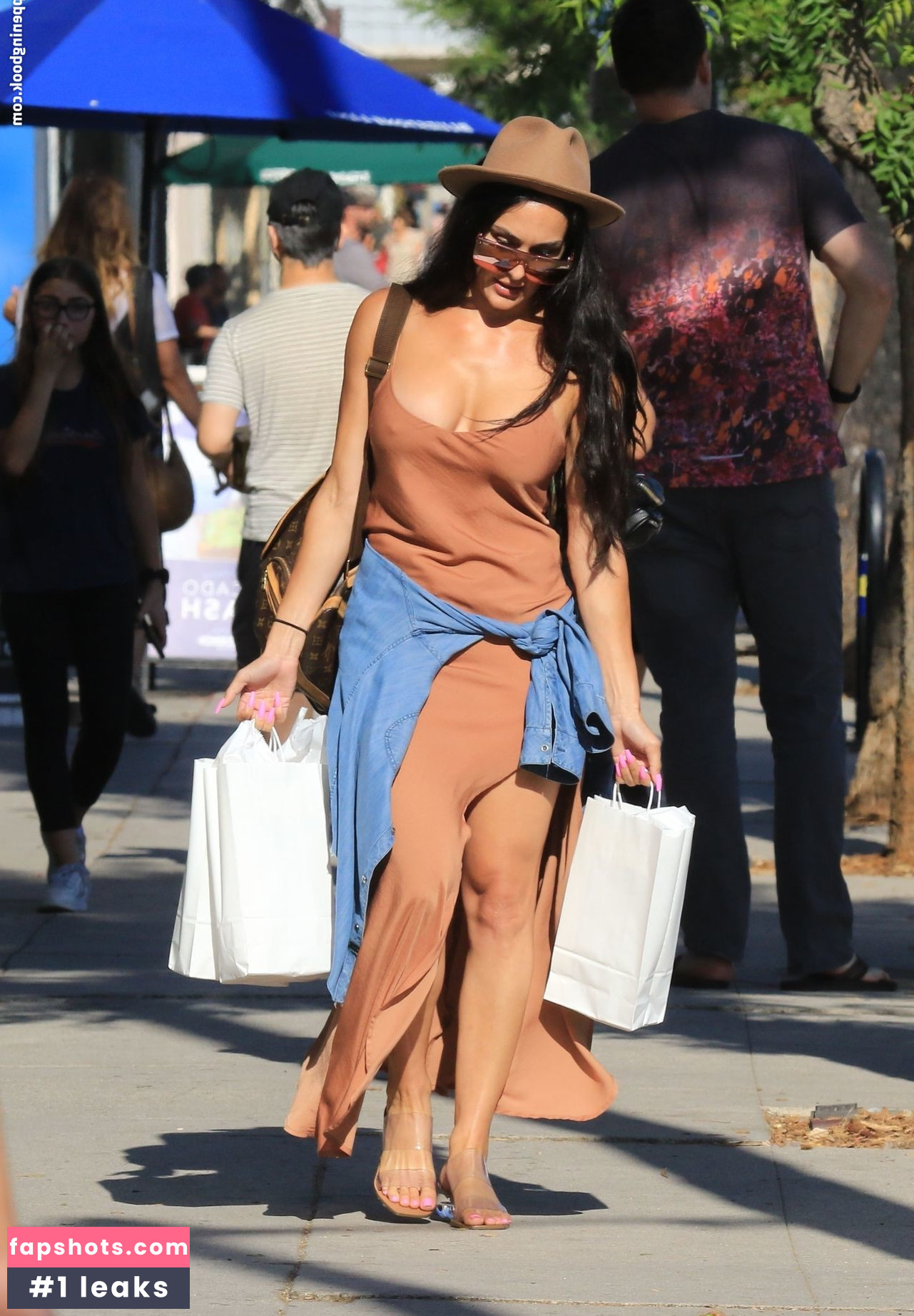 Nikki Bella Nude Leaks OnlyFans Photos #249 - LeakJerk