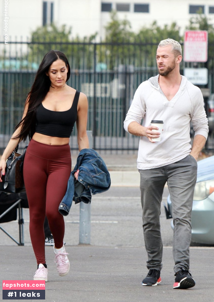 Nikki Bella Nude Leaks OnlyFans Photos #314 - LeakJerk