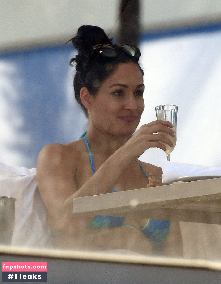 Nikki Bella Nude Leaks OnlyFans Photos #318 - LeakJerk