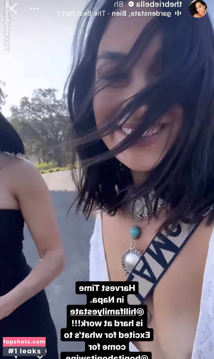 Nikki Bella Nude Leaks OnlyFans Photos #38 - LeakJerk