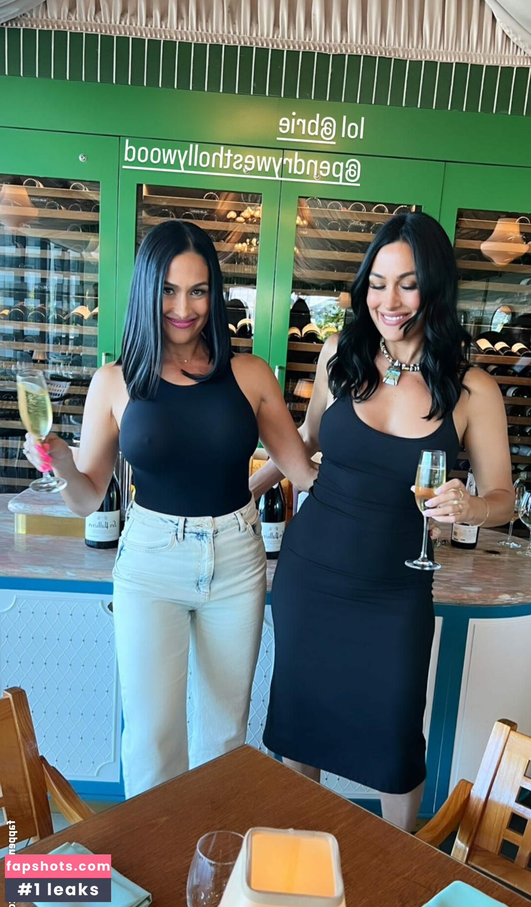 Nikki Bella Nude Leaks OnlyFans Photos #40 - LeakJerk