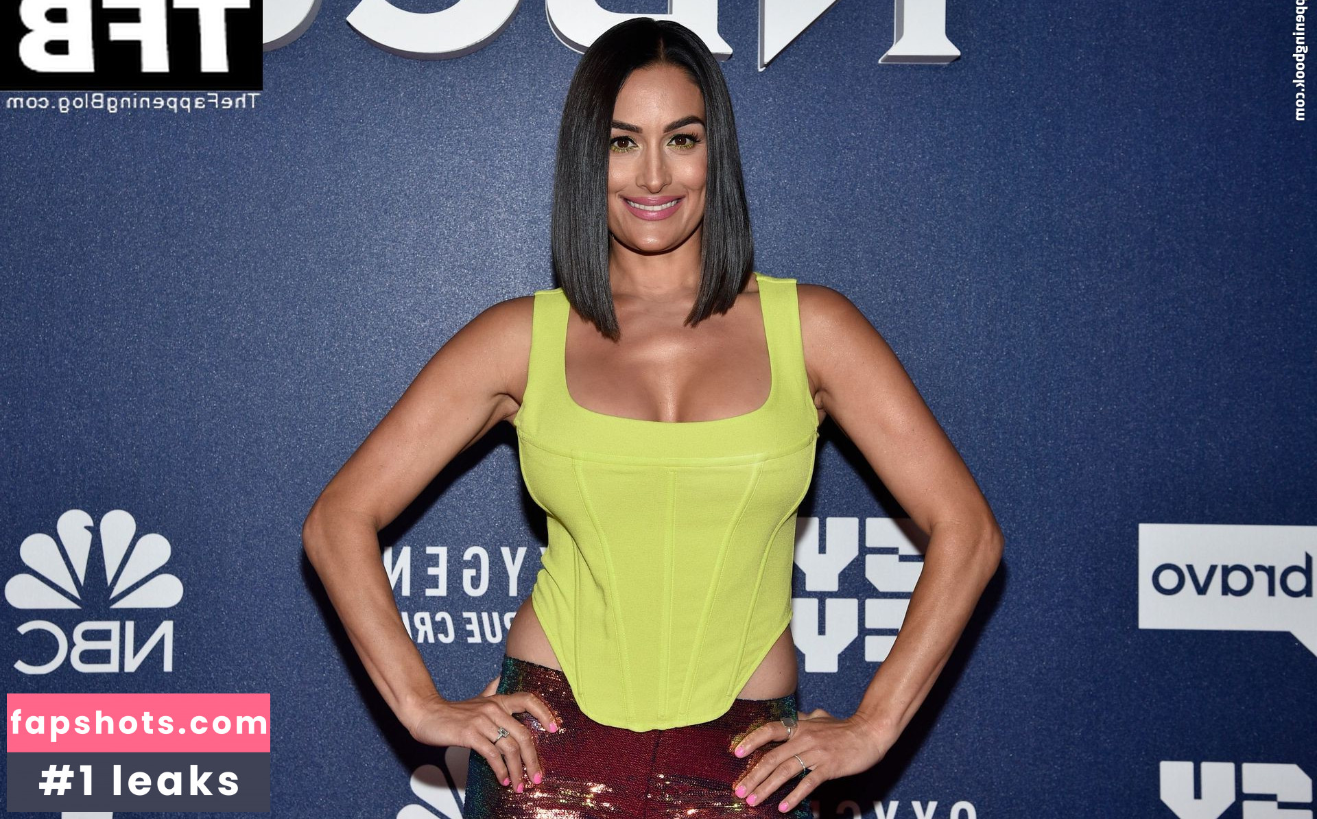 Nikki Bella Nude Leaks OnlyFans Photos #56 - LeakJerk