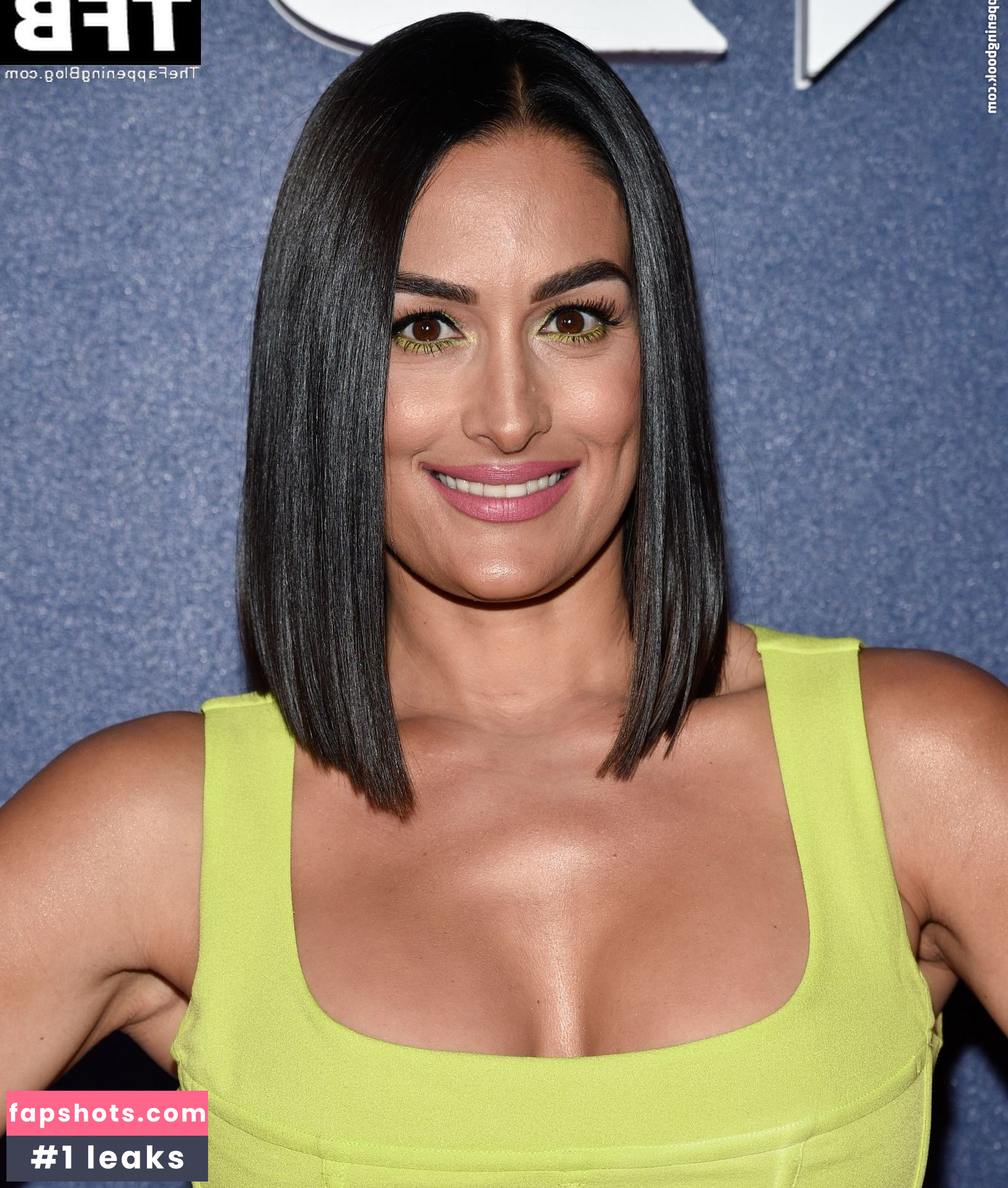 Nikki Bella Nude Leaks OnlyFans Photos #57 - LeakJerk