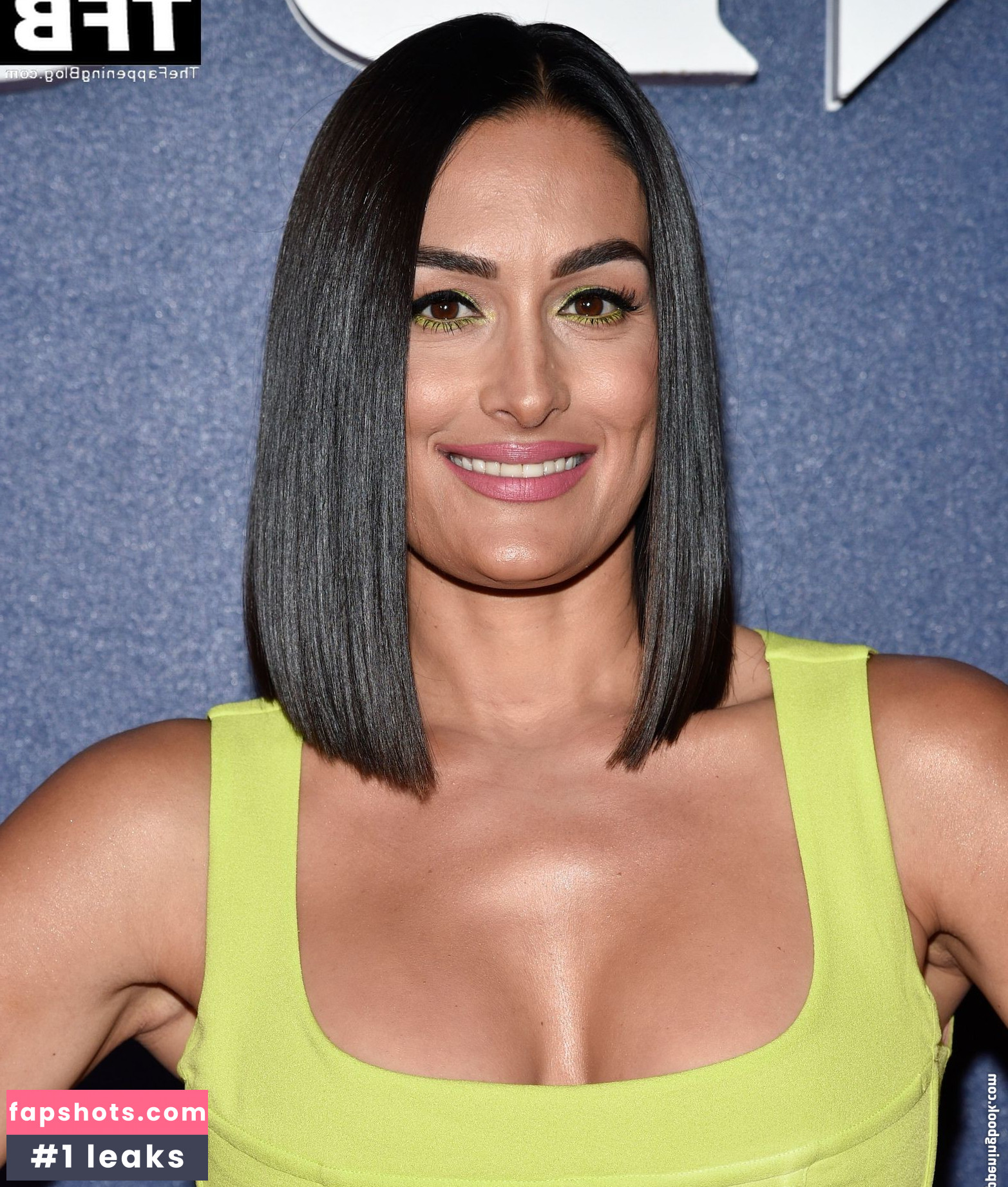 Nikki Bella Nude Leaks OnlyFans Photos #58 - LeakJerk