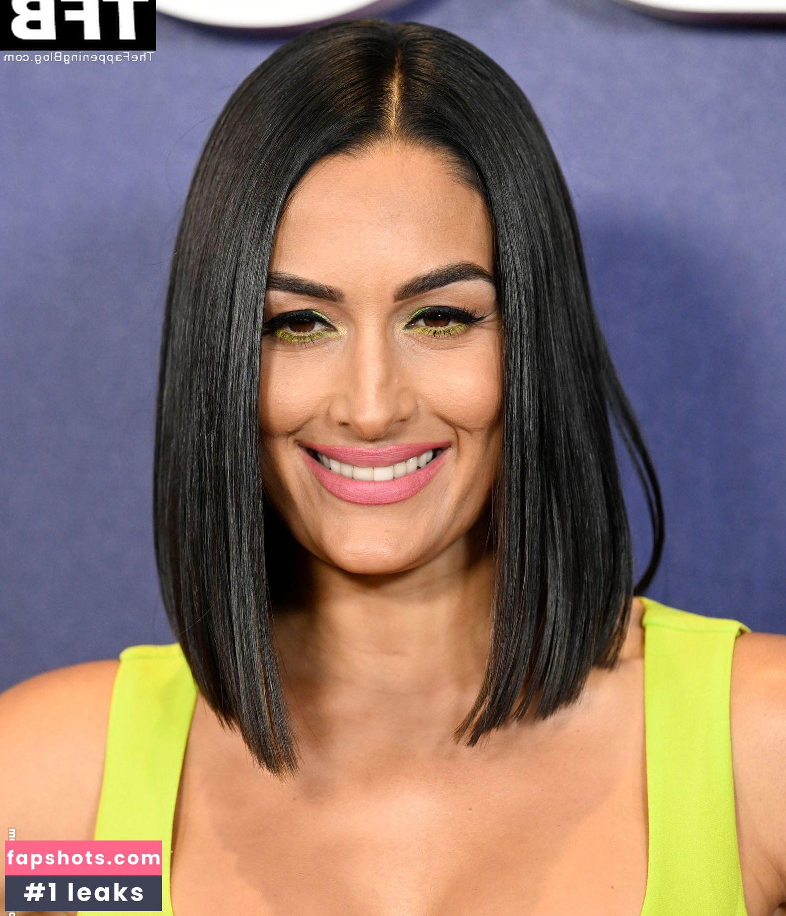 Nikki Bella Nude Leaks OnlyFans Photos #64 - LeakJerk