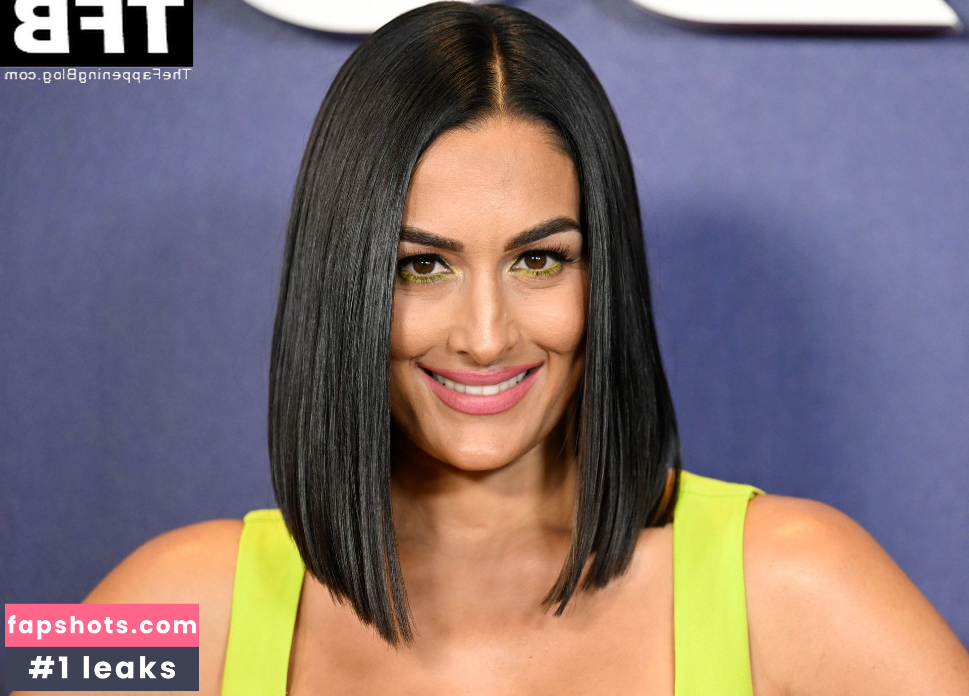 Nikki Bella Nude Leaks OnlyFans Photos #66 - LeakJerk