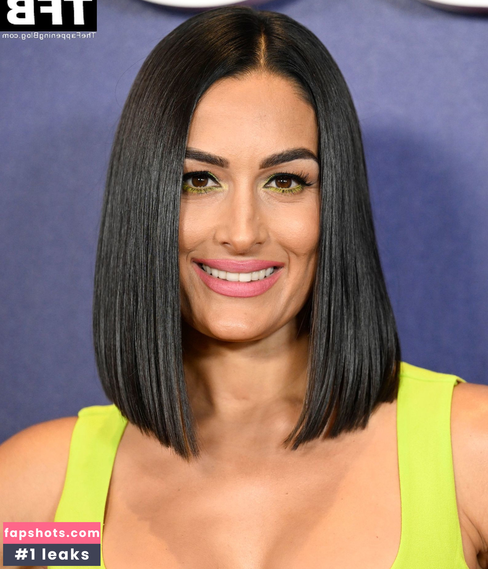 Nikki Bella Nude Leaks OnlyFans Photos #67 - LeakJerk