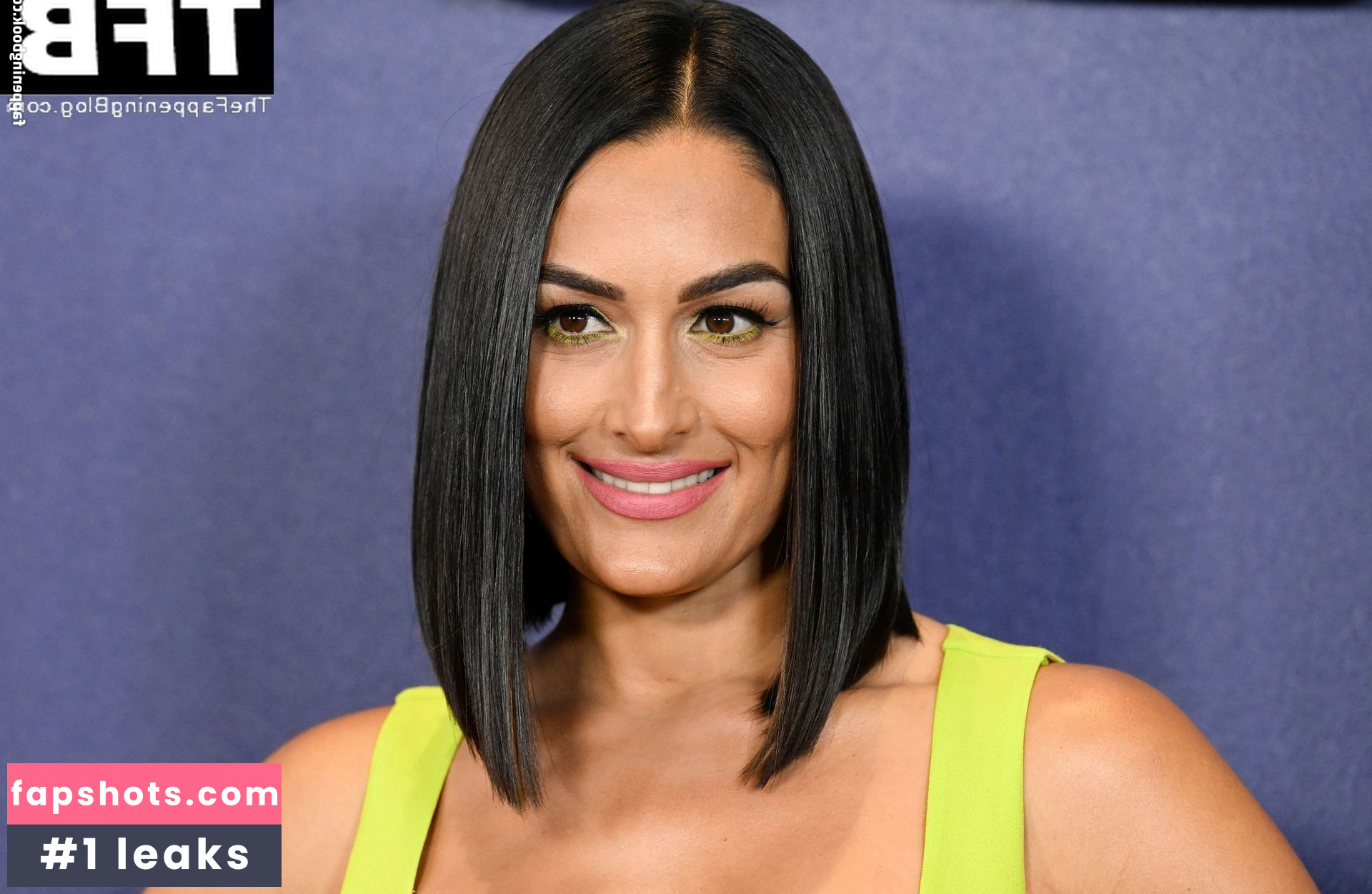 Nikki Bella Nude Leaks OnlyFans Photos #68 - LeakJerk