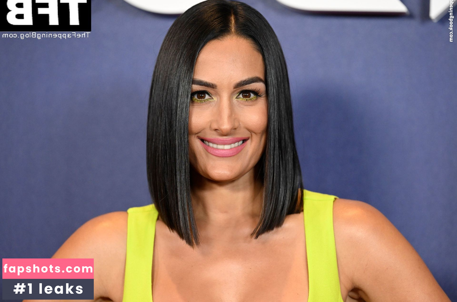 Nikki Bella Nude Leaks OnlyFans Photos #69 - LeakJerk