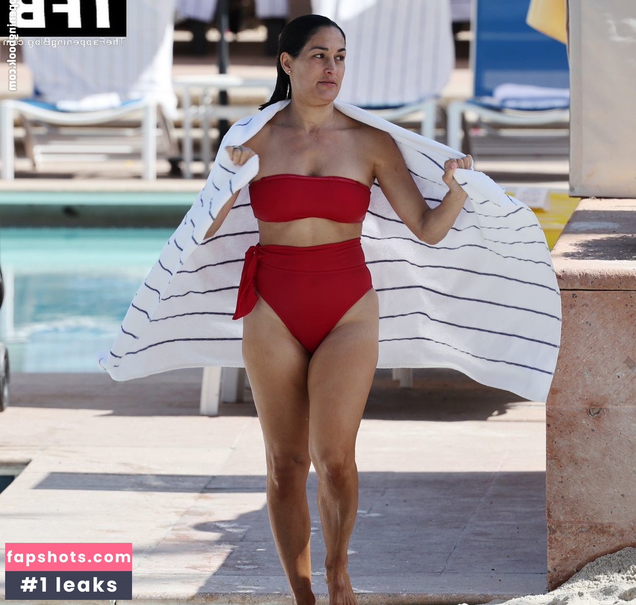 Nikki Bella Nude Leaks OnlyFans Photos #72 - LeakJerk