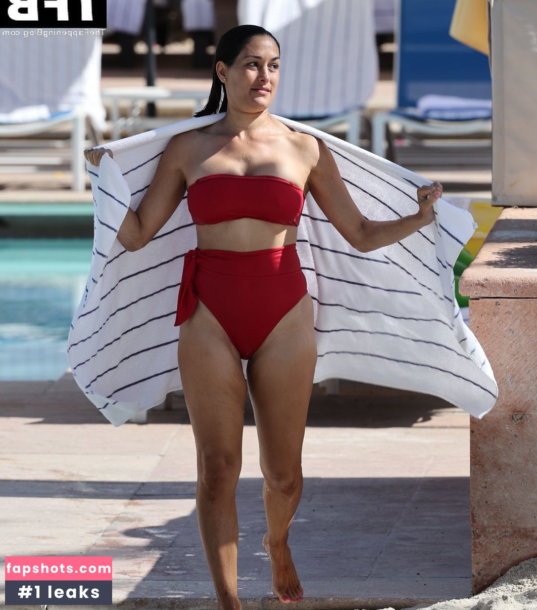 Nikki Bella Nude Leaks OnlyFans Photos #73 - LeakJerk