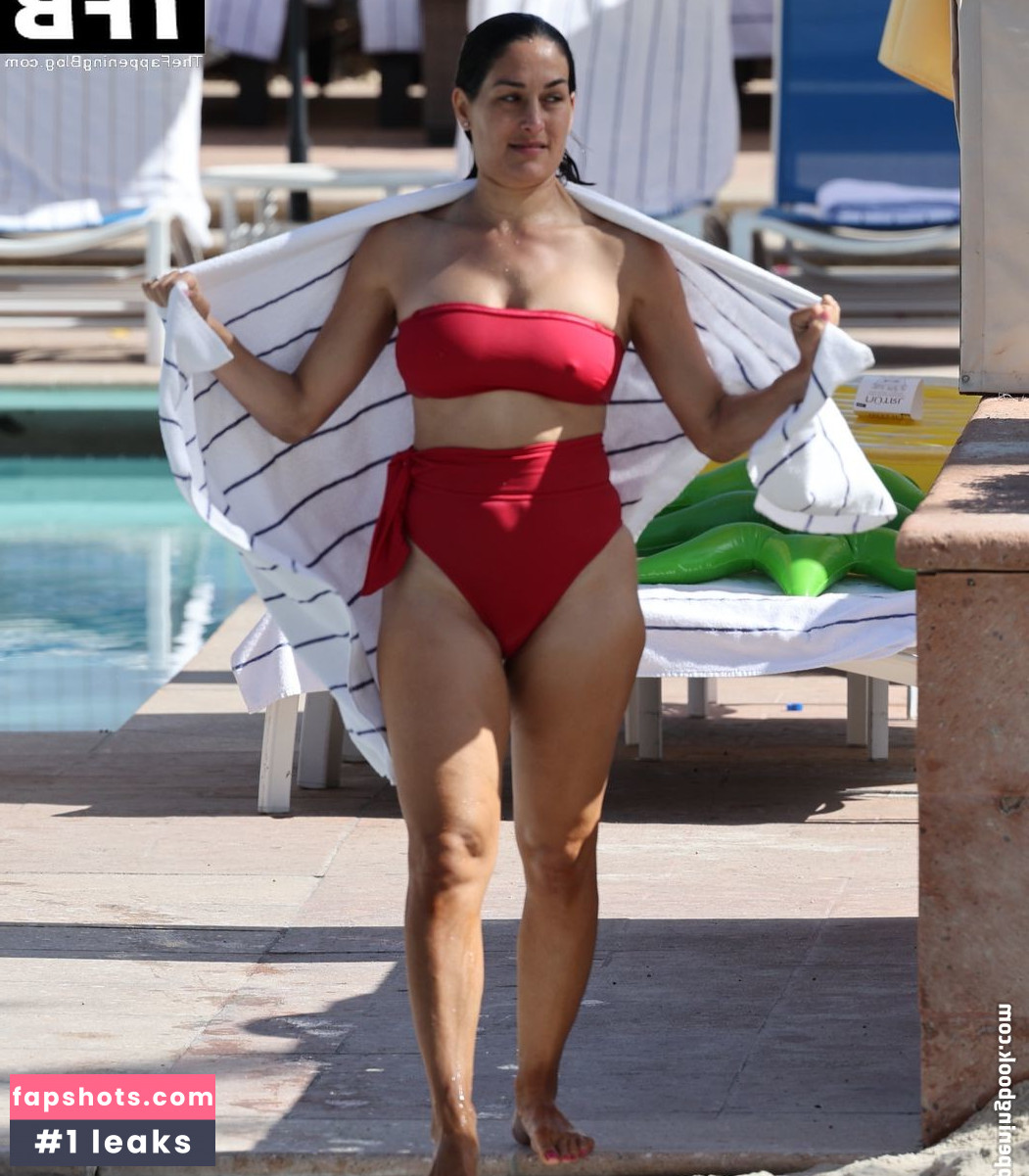 Nikki Bella Nude Leaks OnlyFans Photos #75 - LeakJerk