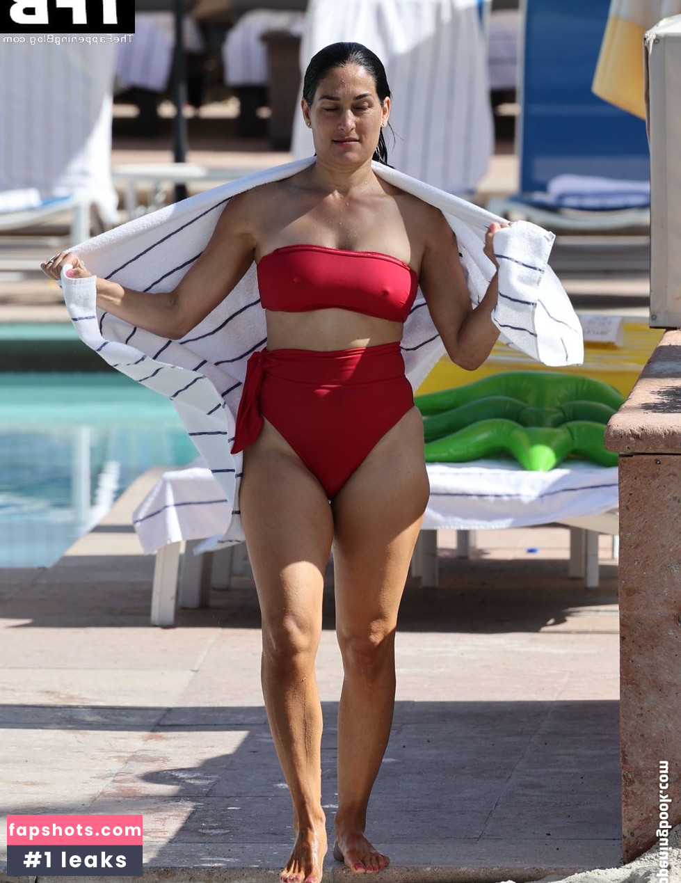 Nikki Bella Nude Leaks OnlyFans Photos #76 - LeakJerk