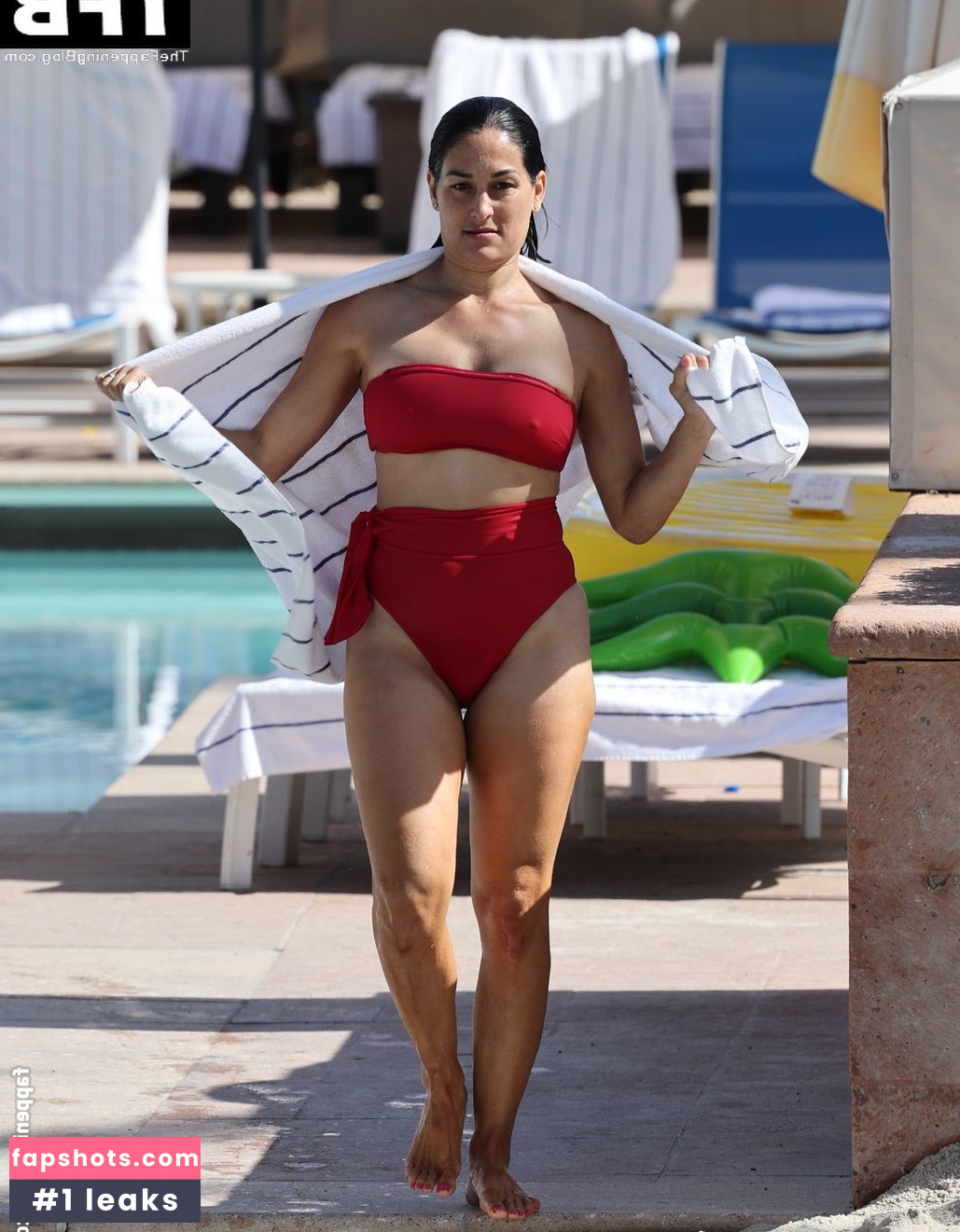 Nikki Bella Nude Leaks OnlyFans Photos #77 - LeakJerk