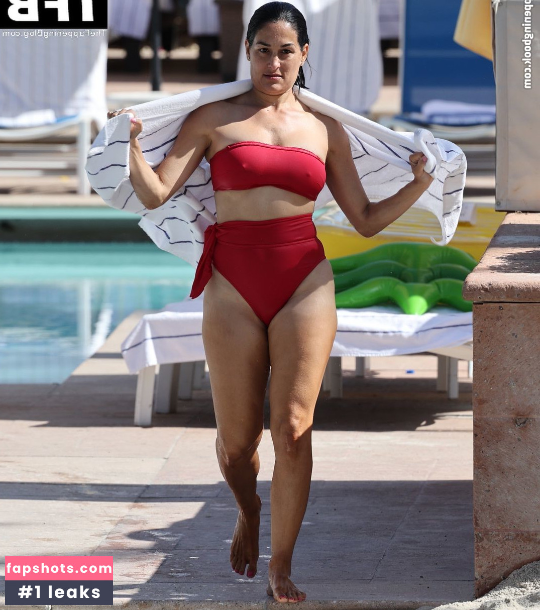 Nikki Bella Nude Leaks OnlyFans Photos #79 - LeakJerk