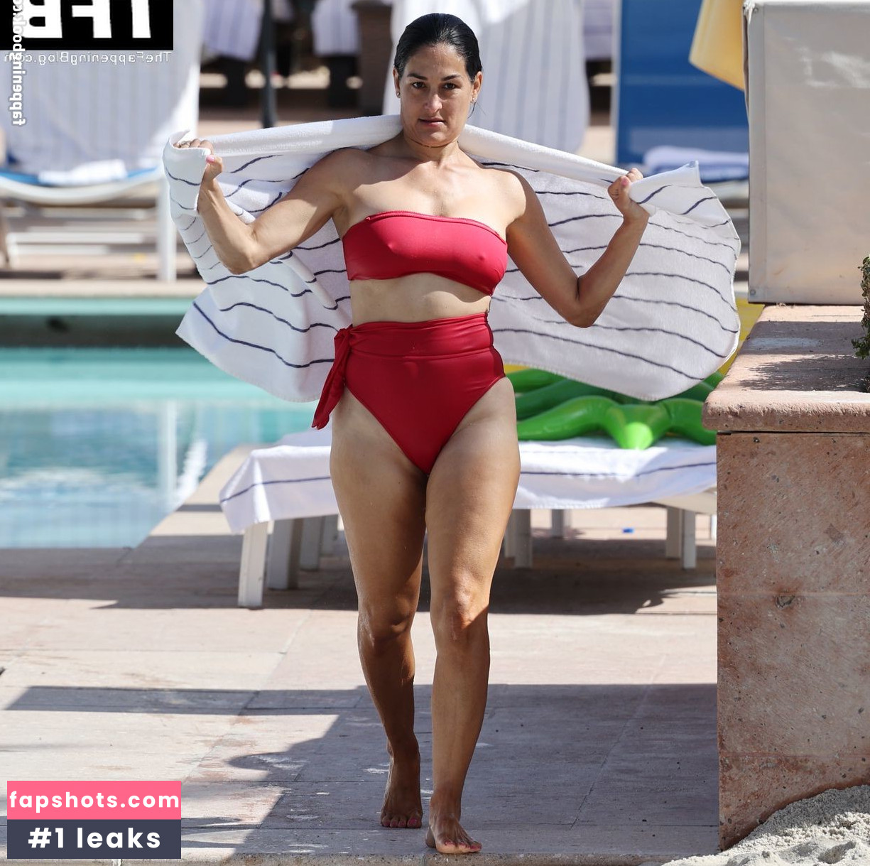 Nikki Bella Nude Leaks OnlyFans Photos #80 - LeakJerk