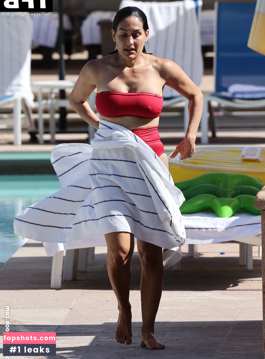 Nikki Bella Nude Leaks OnlyFans Photos #85 - LeakJerk