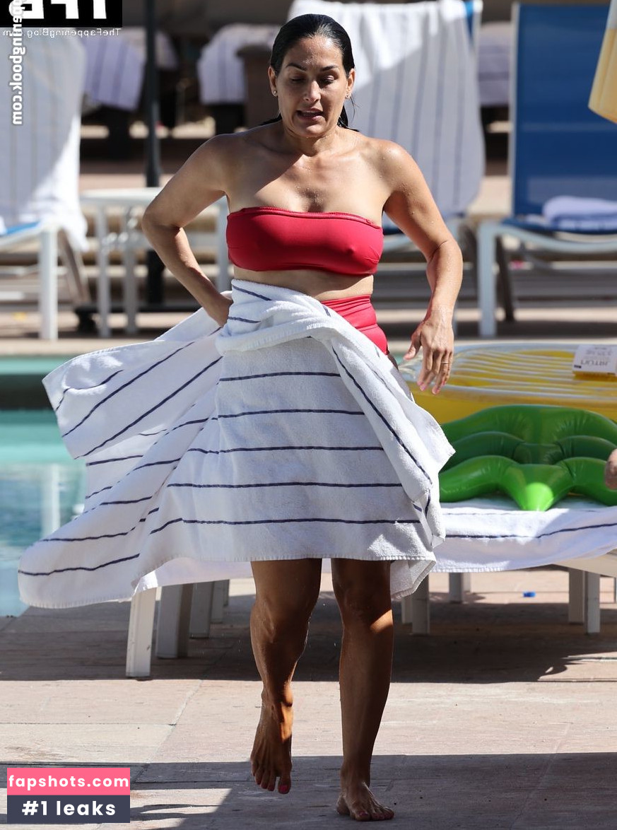 Nikki Bella Nude Leaks OnlyFans Photos #86 - LeakJerk