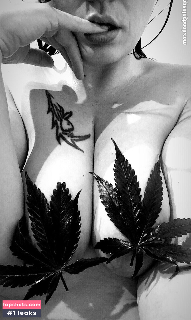 nikkihippy gallery photo #2