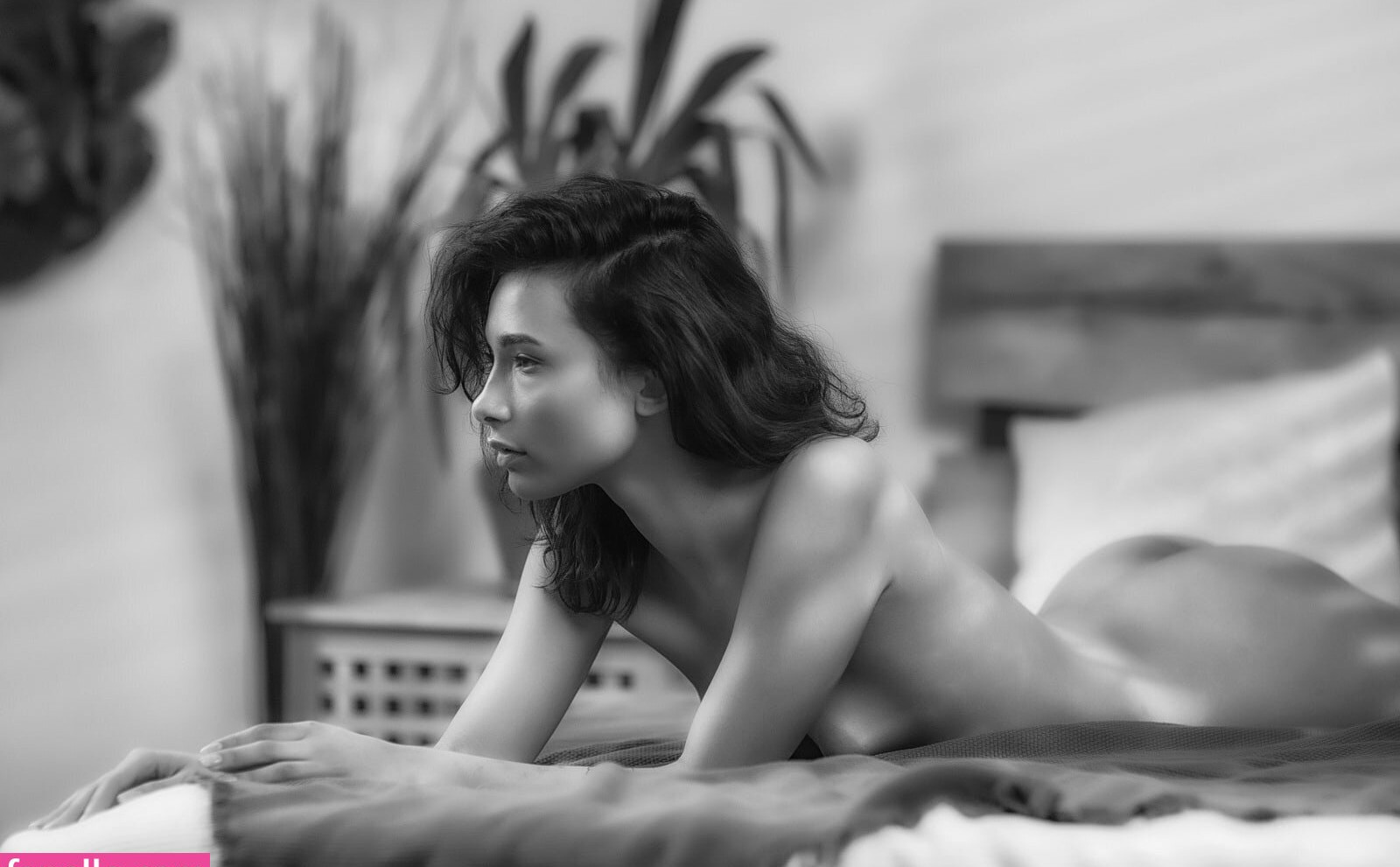 nikol-beylik gallery photo #738