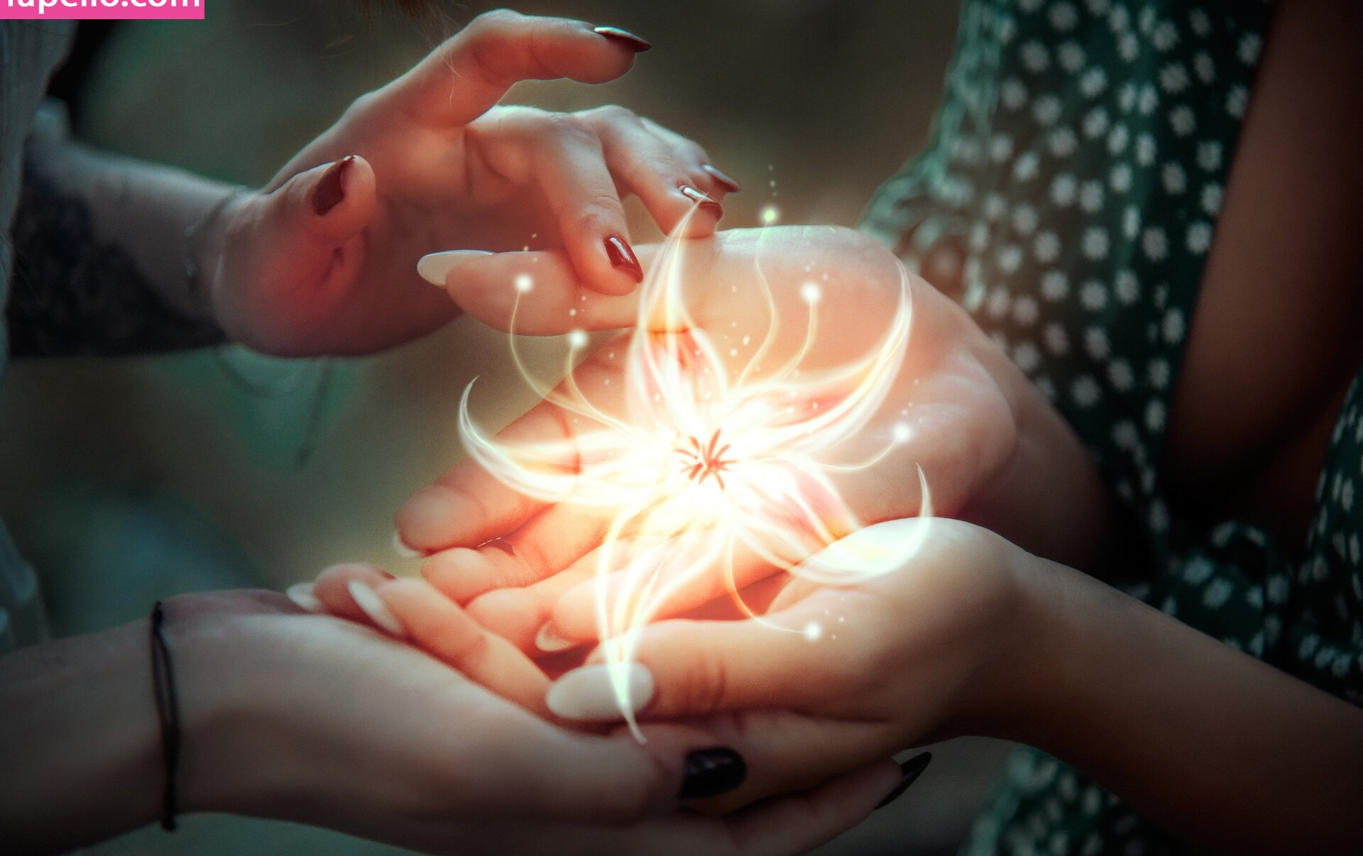 nikol-beylik Nude Leaks OnlyFans Photos #990 - LeakJerk