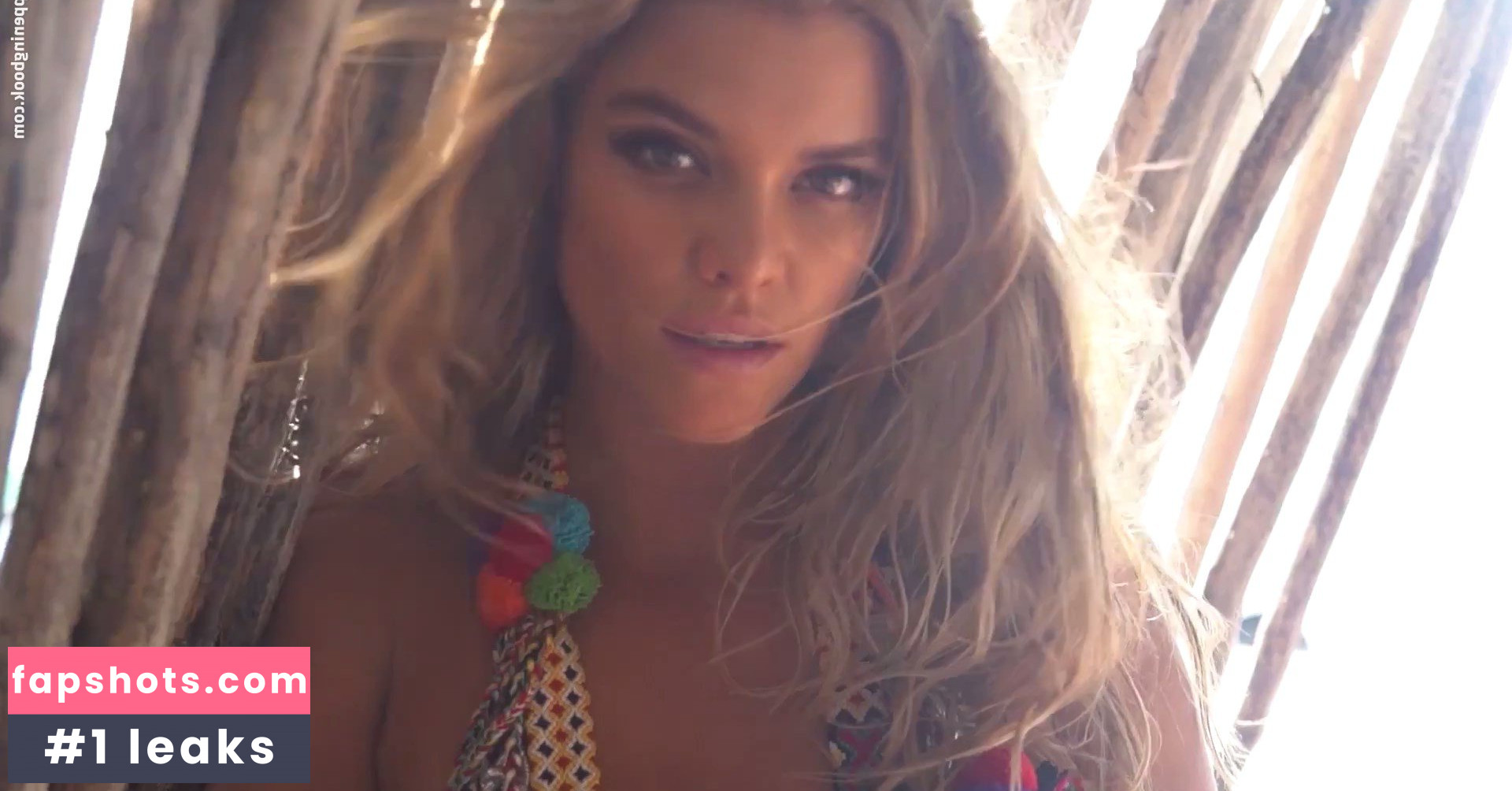 Nina Agdal Nude Leaks OnlyFans Photos #1958 - LeakJerk