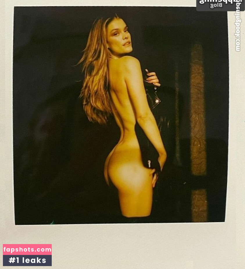 Nina Agdal Nude Leaks OnlyFans Photos #432 - LeakJerk