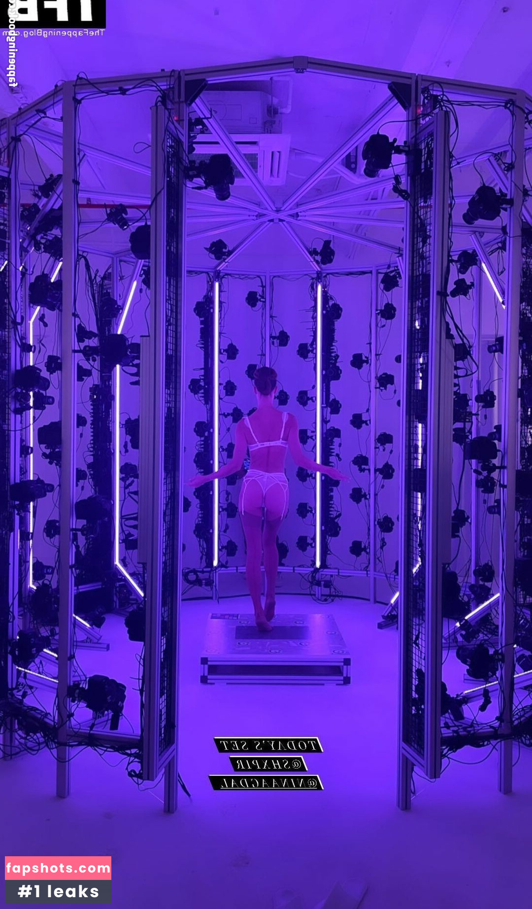 Nina Agdal Nude Leaks OnlyFans Photos #691 - LeakJerk