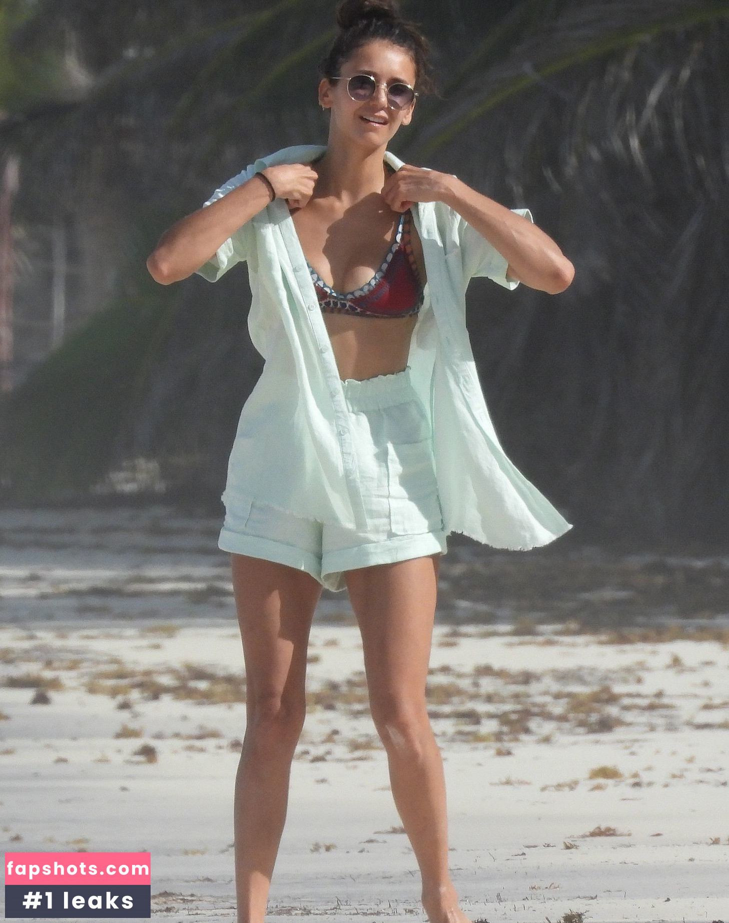 Nina Dobrev gallery photo #1305