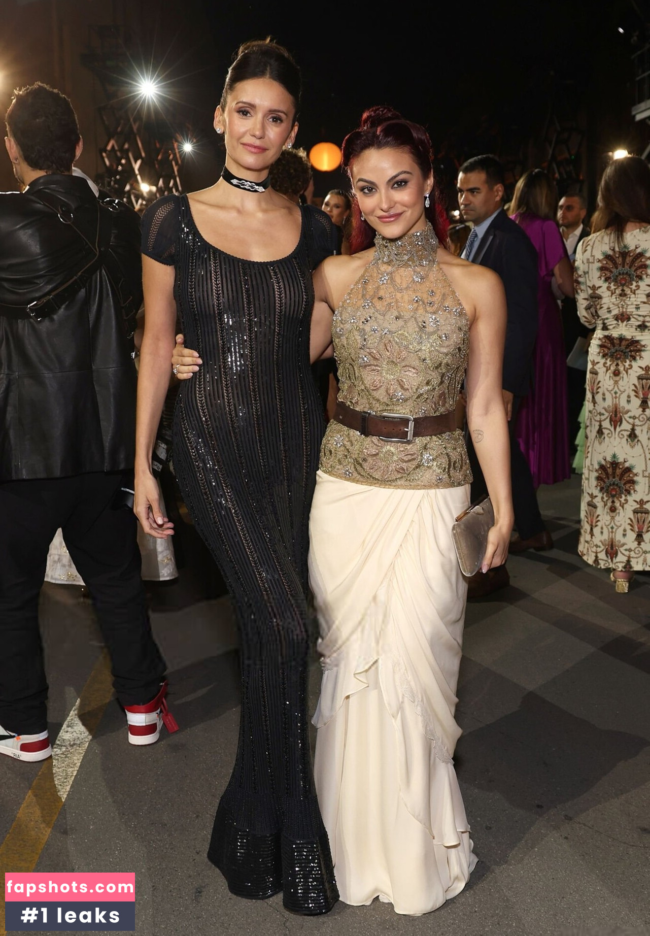 Nina Dobrev Nude Leaks OnlyFans Photos #133 - LeakJerk